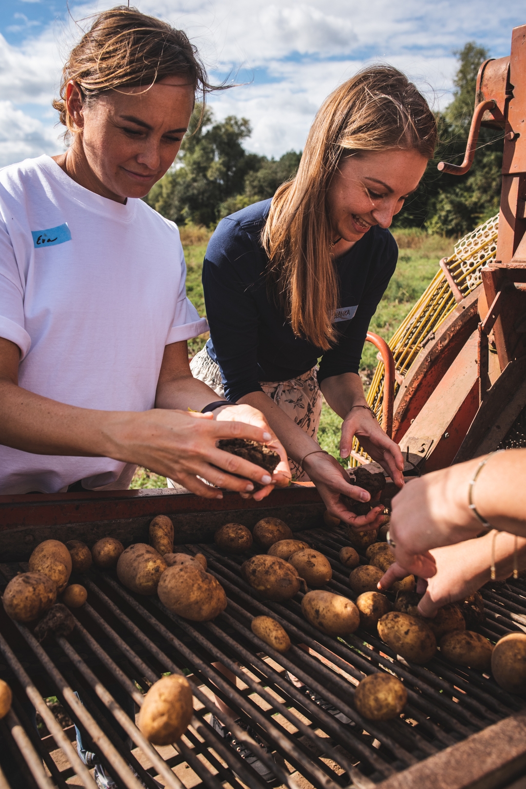 Pop-up Večeře Ke kořenům: Brambory