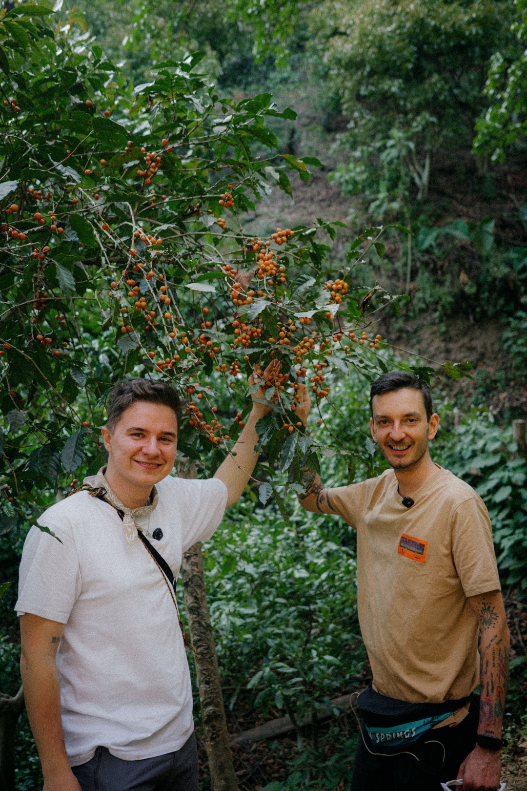 Finca Gascón pop-up